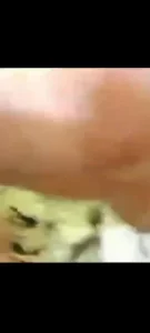 小夫妻